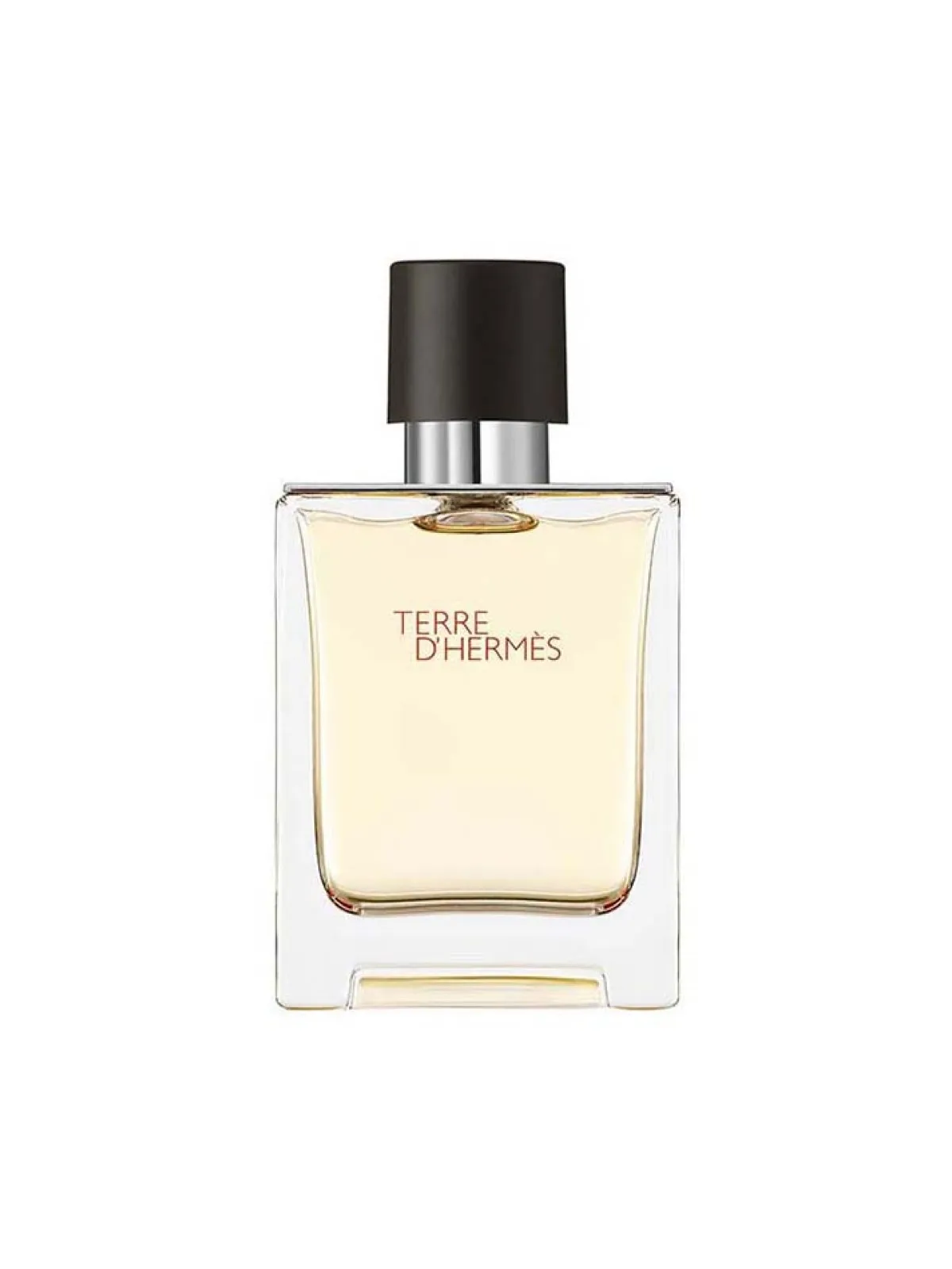 Hermes Terre D'Hermes Edt 100 ML Erkek Parfüm - THEP